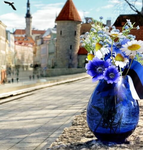 Turism ja sisuturundus Eestis